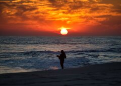 沈む陽に竿を振る