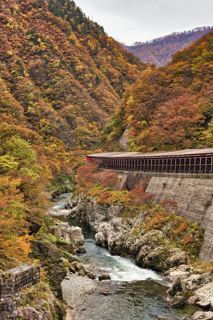 紅葉の渓谷に架かる朱橋