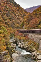 紅葉の渓谷に架かる朱橋
