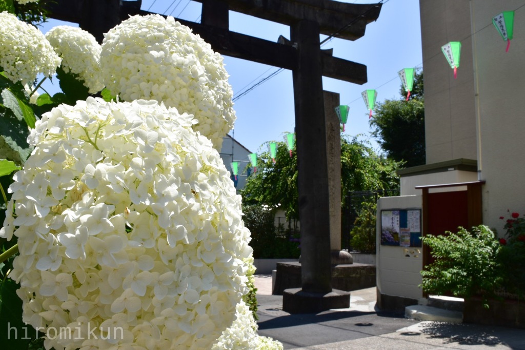 白山神社