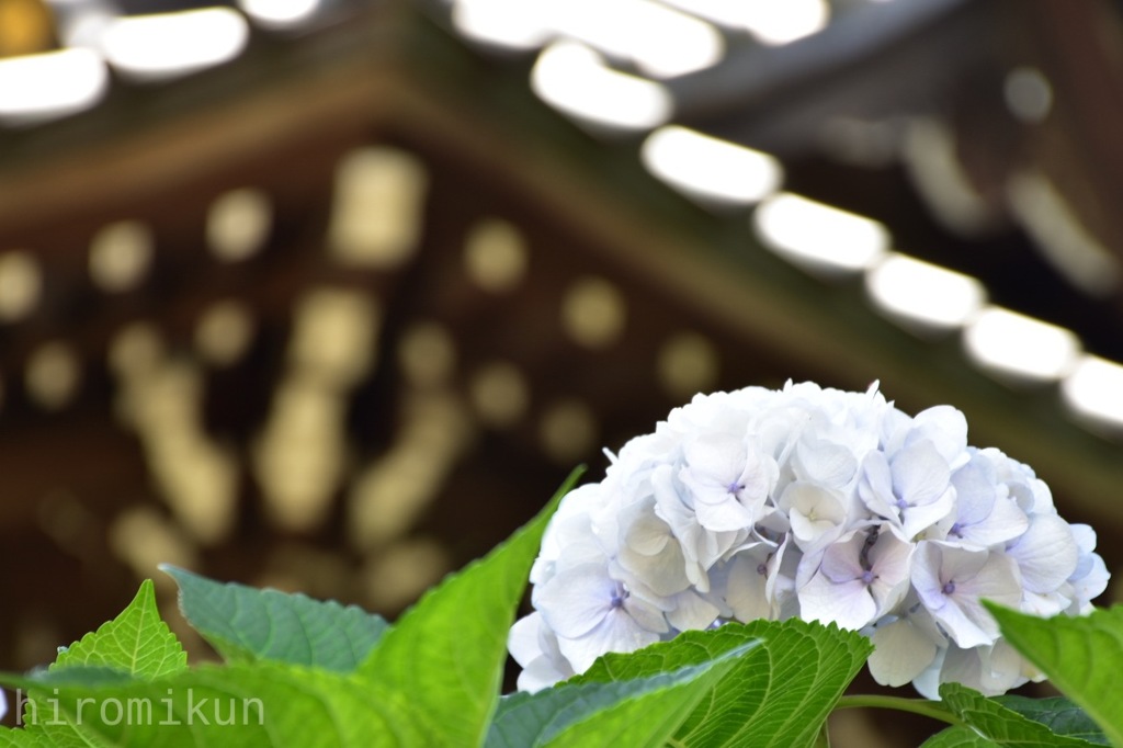 白山神社