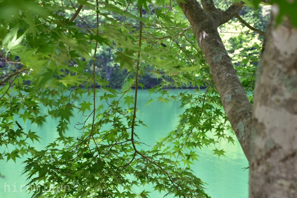 伊奈ヶ湖エメラルドグリーン