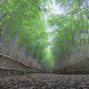 竹林の道＠名古屋