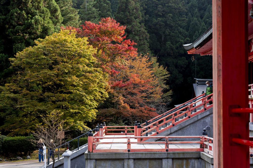 法華総持院東塔①