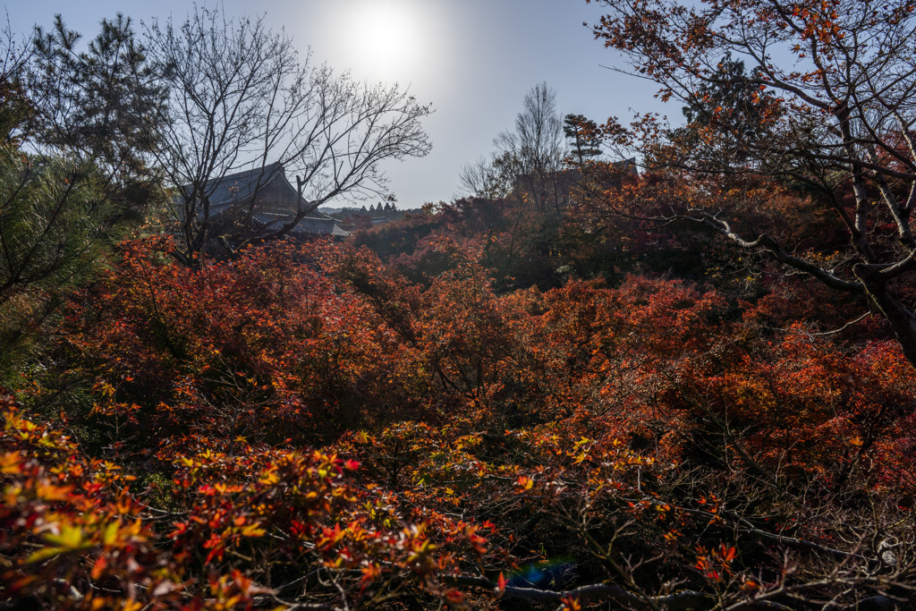東福寺