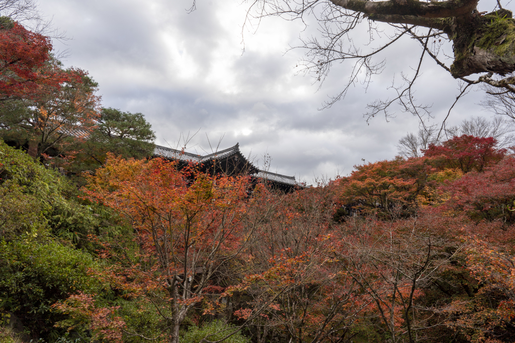 東福寺2020