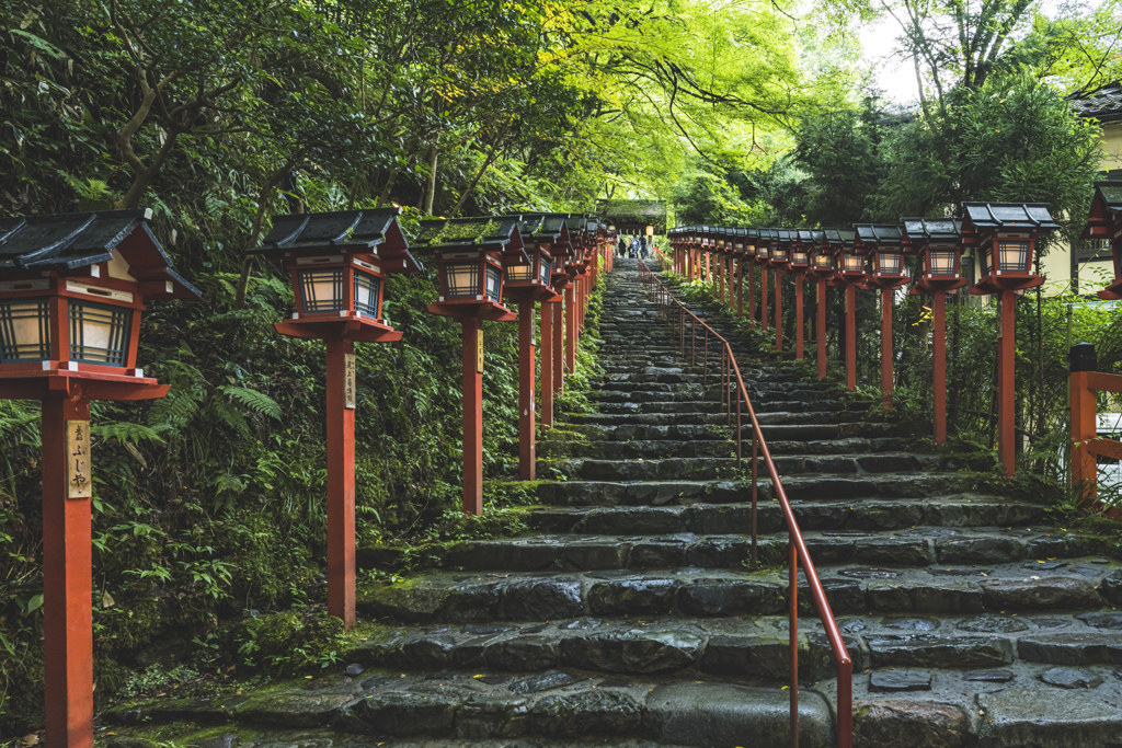 深緑の参道