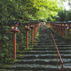 深緑の参道