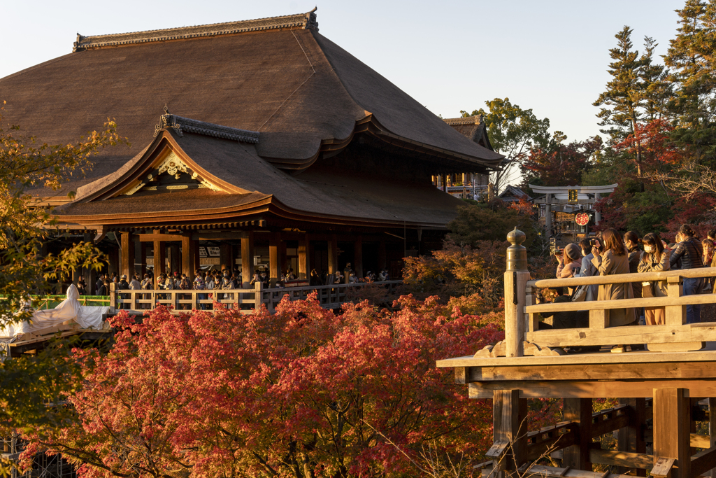 赤黄色の京都