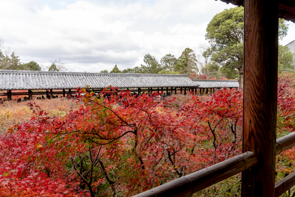 東福寺2020