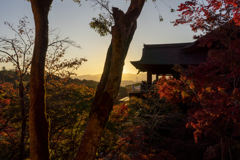 赤黄色の京都