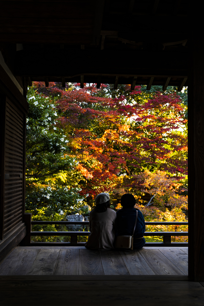 紅葉窓Ⅳ