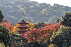 いにしえの京都タワー