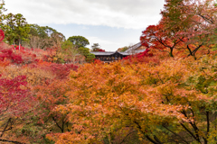 東福寺2018①