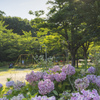 近所の公園