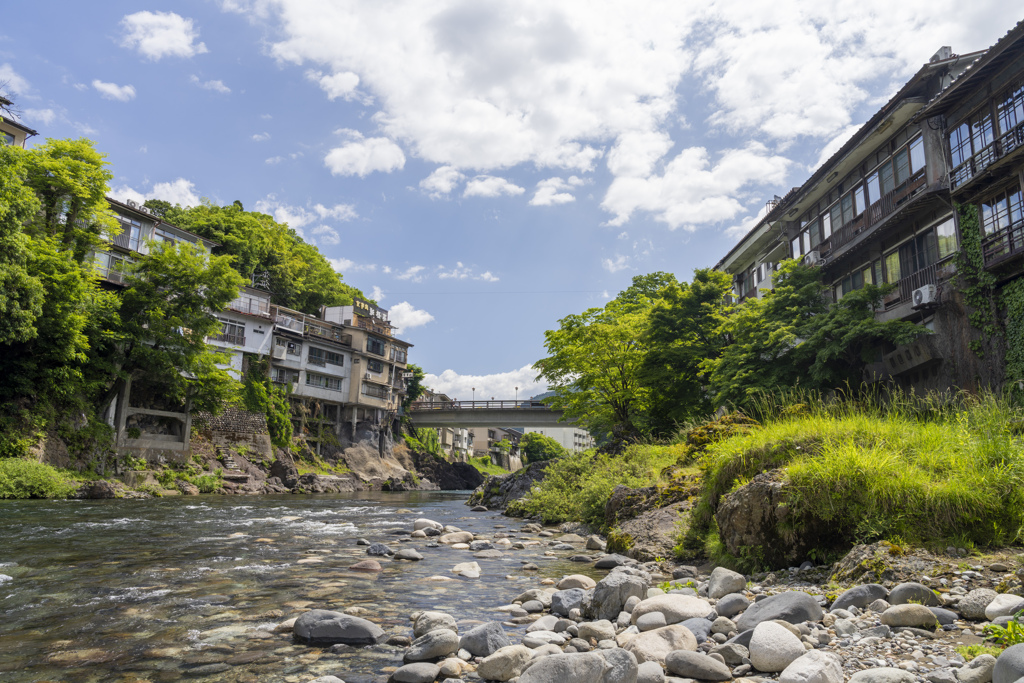 初夏の吉田川