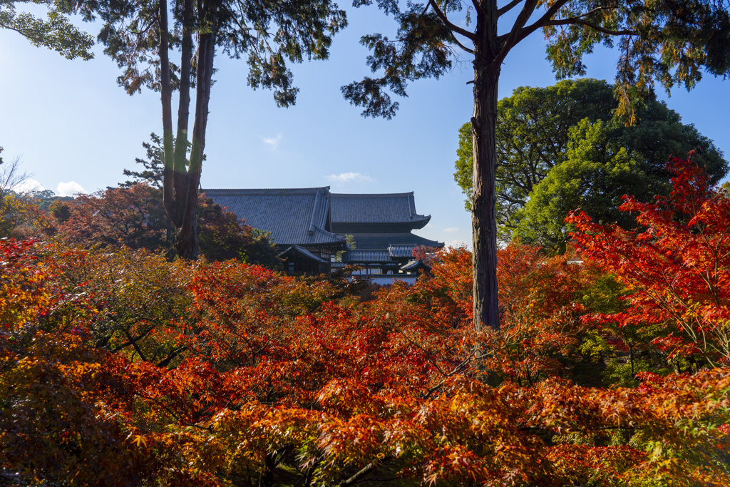 東福寺2019④