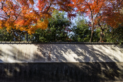 東福寺界隈１