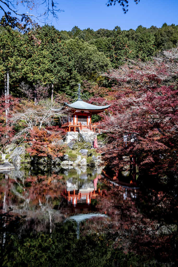 醍醐寺2018②