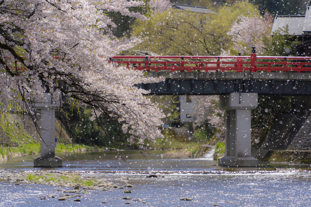 花の風