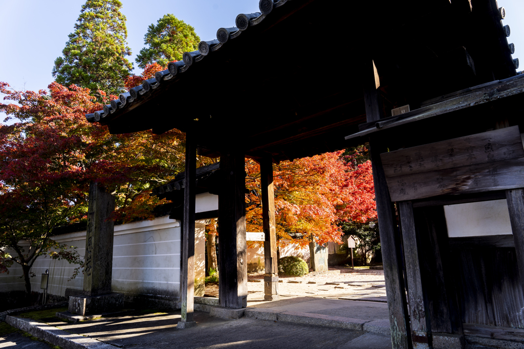 酬恩庵一休寺1