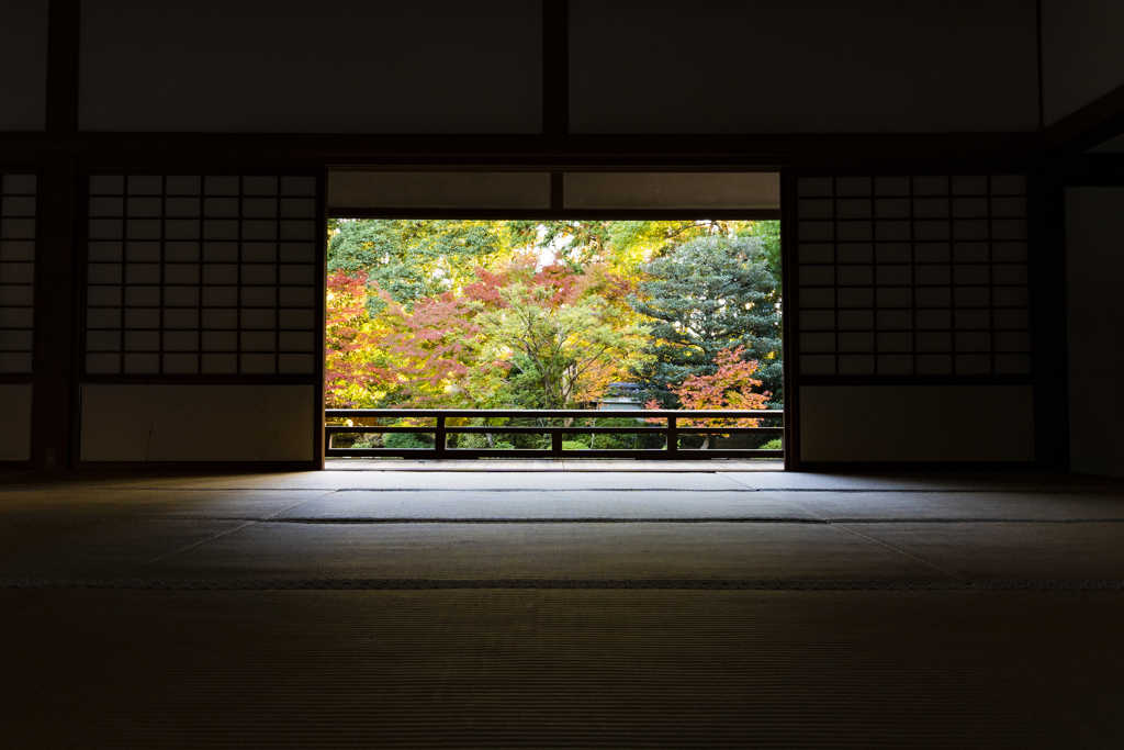 紅葉窓