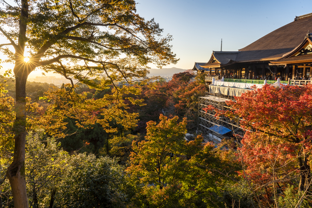 赤黄色の京都