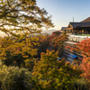 赤黄色の京都