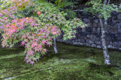 酬恩庵一休寺3