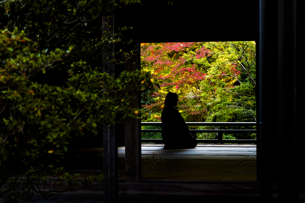 紅葉窓Ⅲ