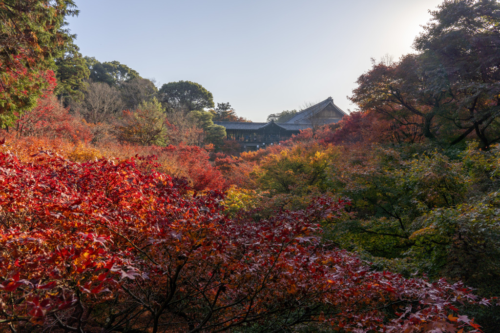 朝陽さす通天橋