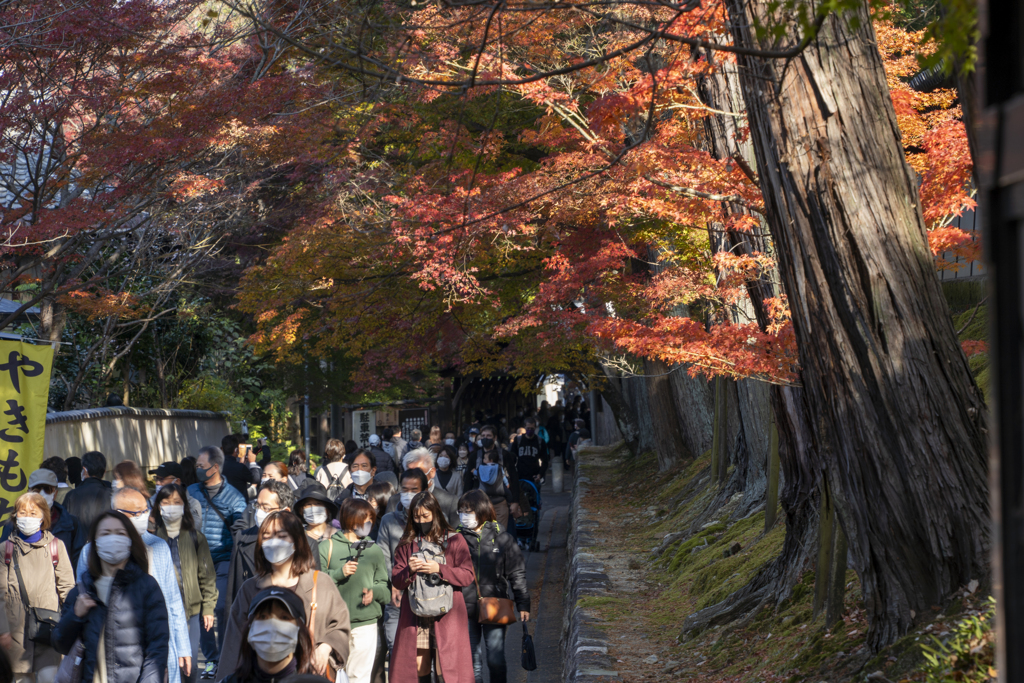 東福寺〜金曜朝の人出