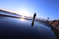 朝陽を浴びて