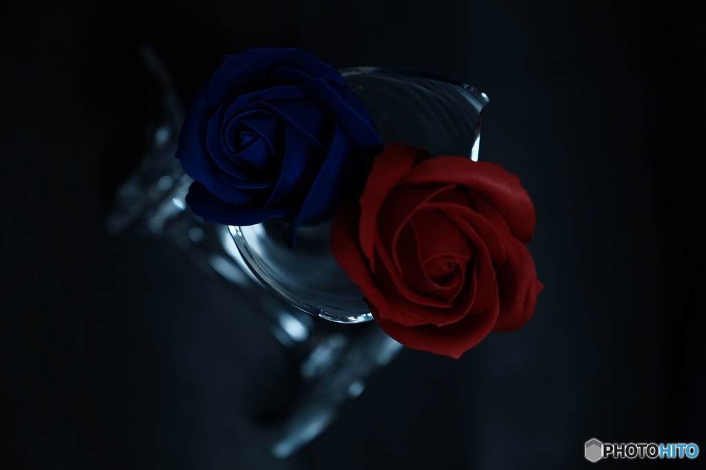 薔薇