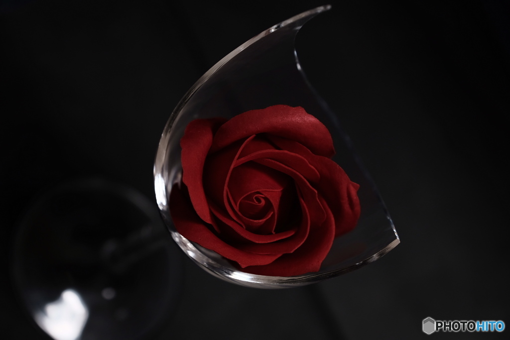 割れたワイングラスと薔薇