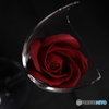 割れたワイングラスと薔薇