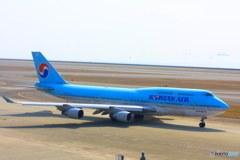 大きなその雄姿