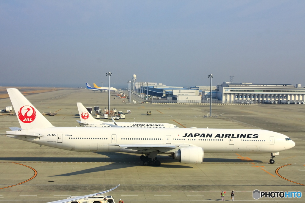 大きな鳥も小さな鳥も