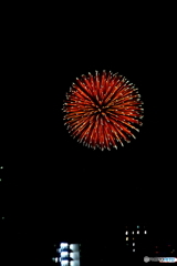 紅い花
