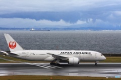 曇りに映える白き鶴