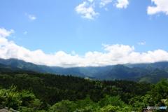 蒼い空に緑豊かな森