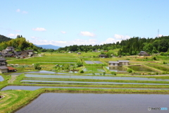のどかな風景
