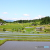 のどかな風景