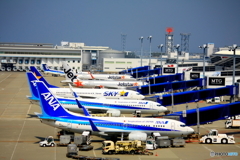 活気あるエプロン