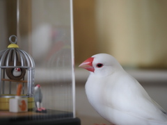 おともだち