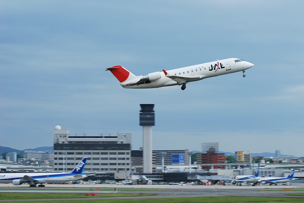 スカイパークからの飛行機
