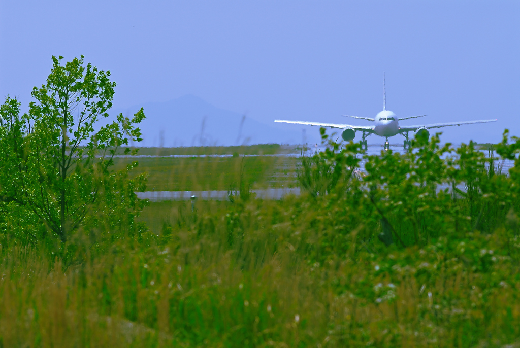 緑の広島空港