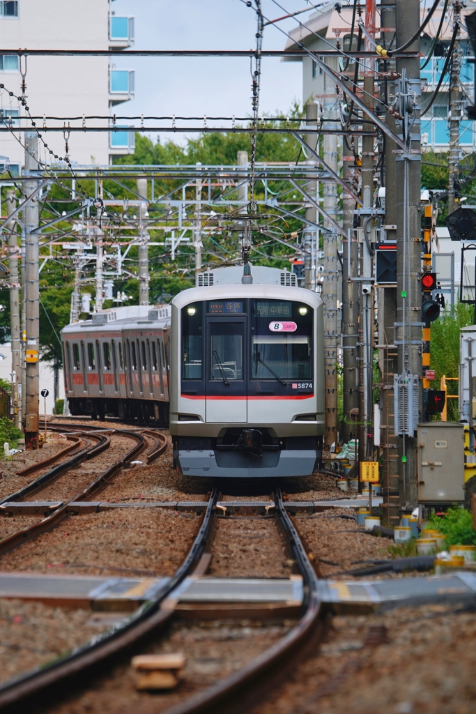 じわじわやって来ます
