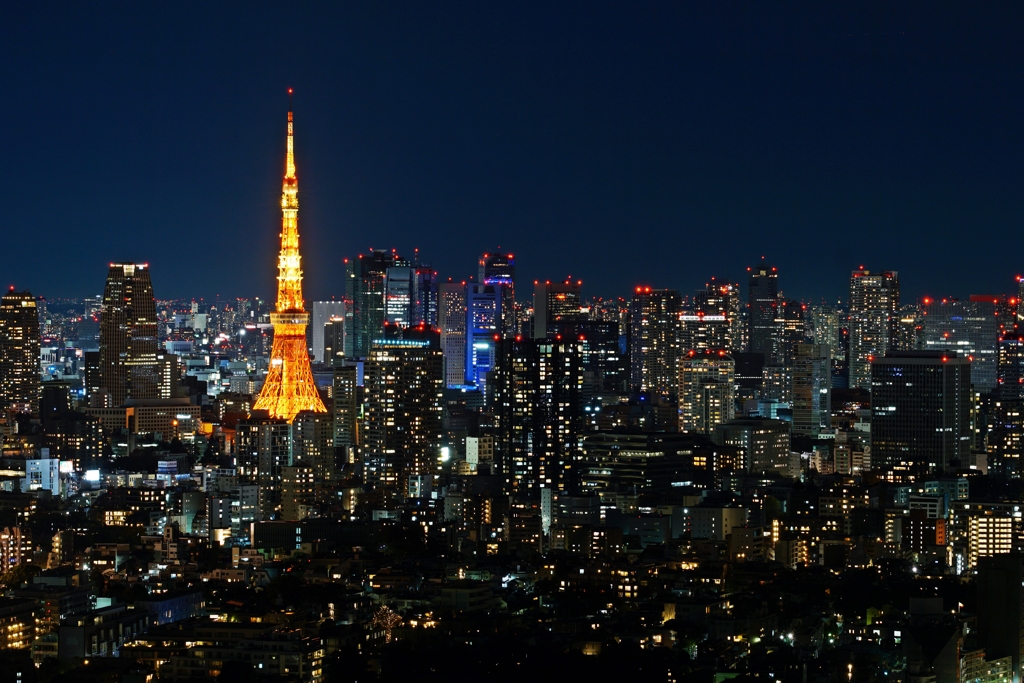 タダで見られる最高の夜景