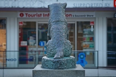 誰もおらんのか～い！